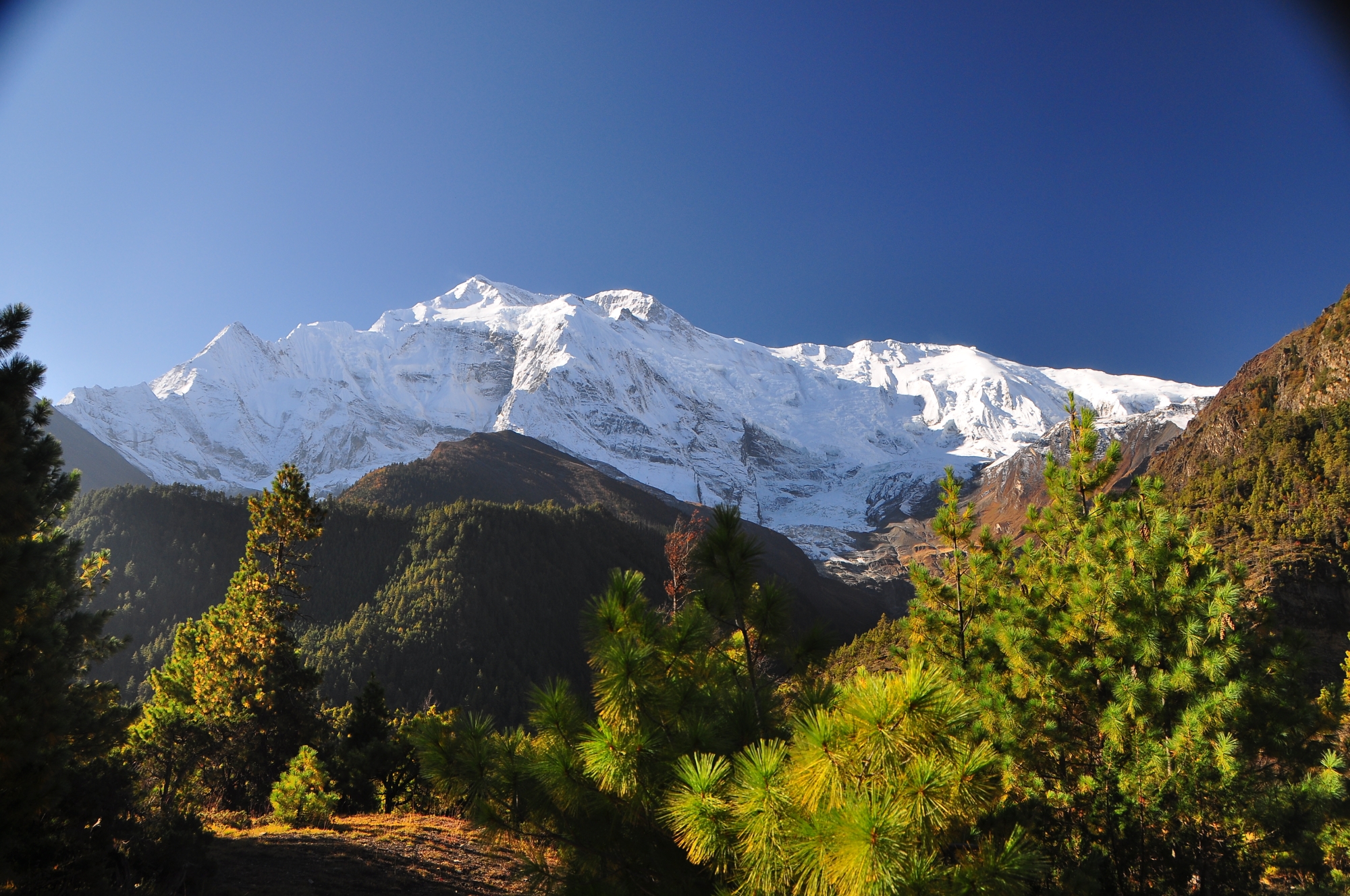 horský sprievodca - Himaláje